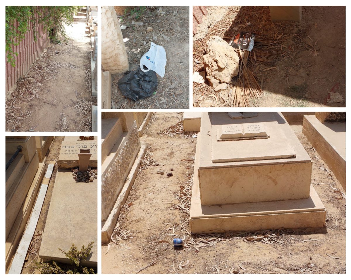 קרדיט: צילום פרטי