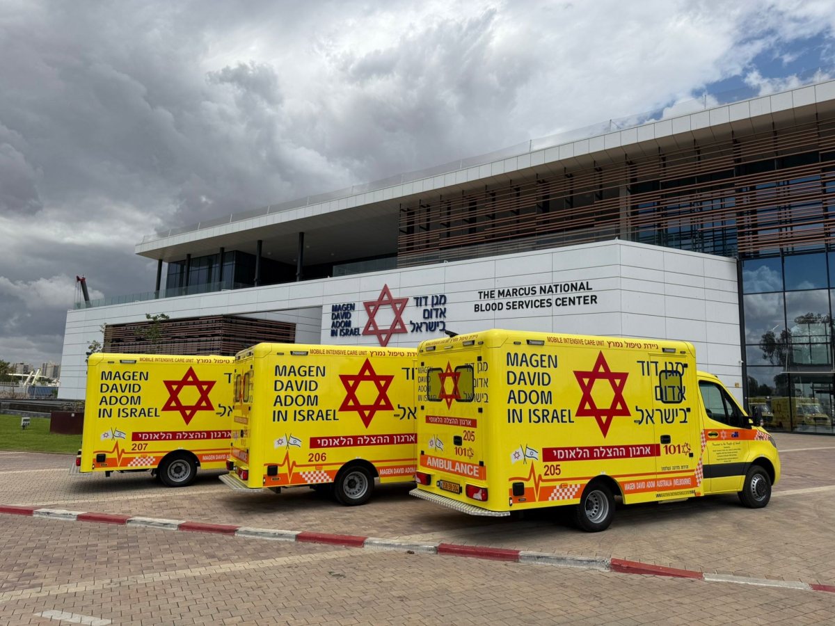 קרדיט: מד&quot;א