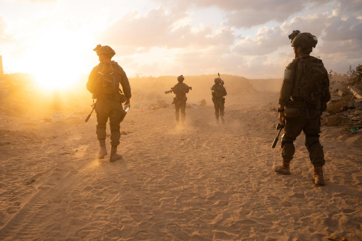 קרדיט: דובר צה"ל