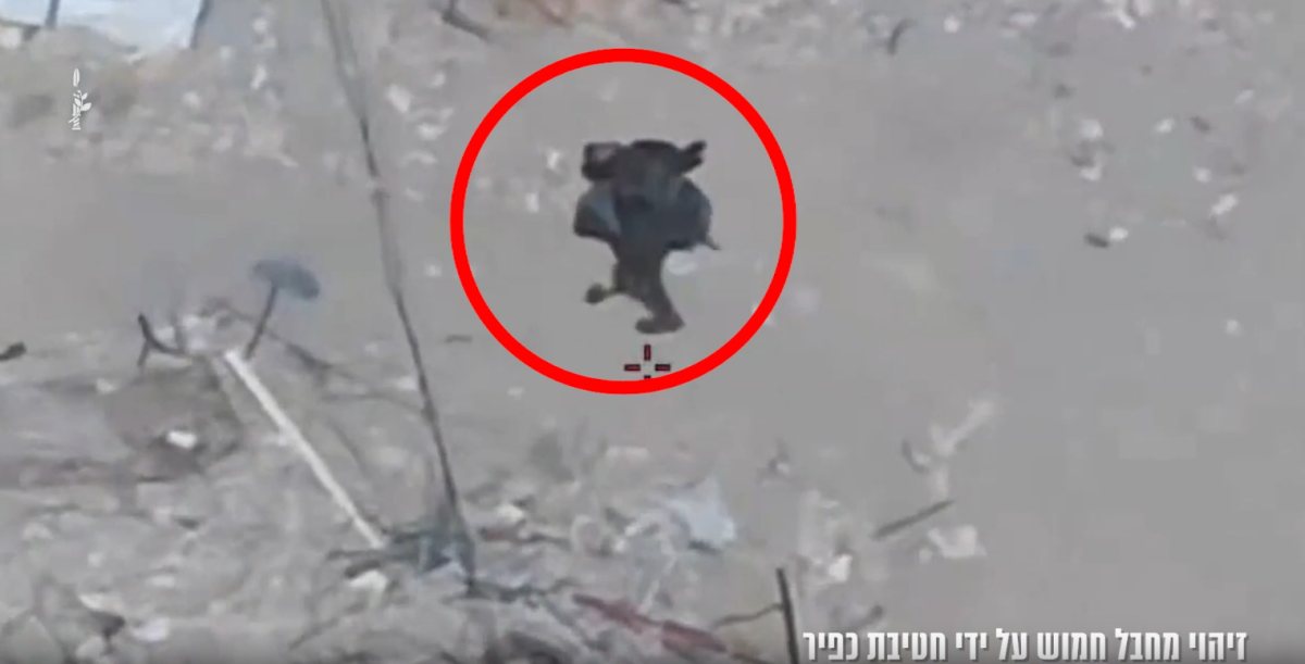 קרדיט: דובר צה"ל