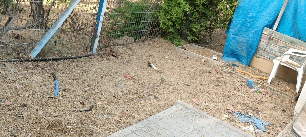 קרדיט: צילום פרטי