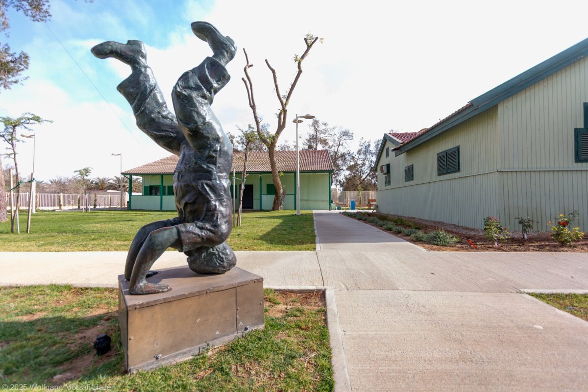 קרדיט: וולפגנג מוצאפי הלר 