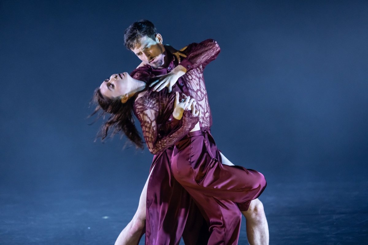 קרדיט צילום: כפיר בולוטין