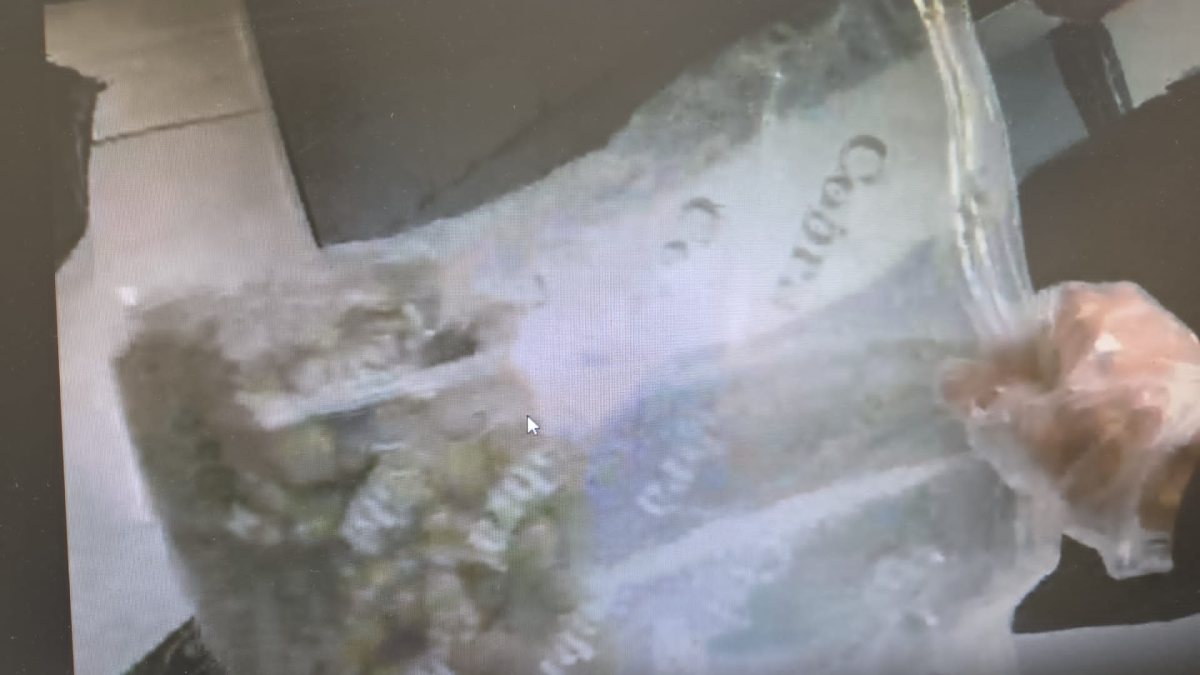 קרדיט: משטרת ישראל