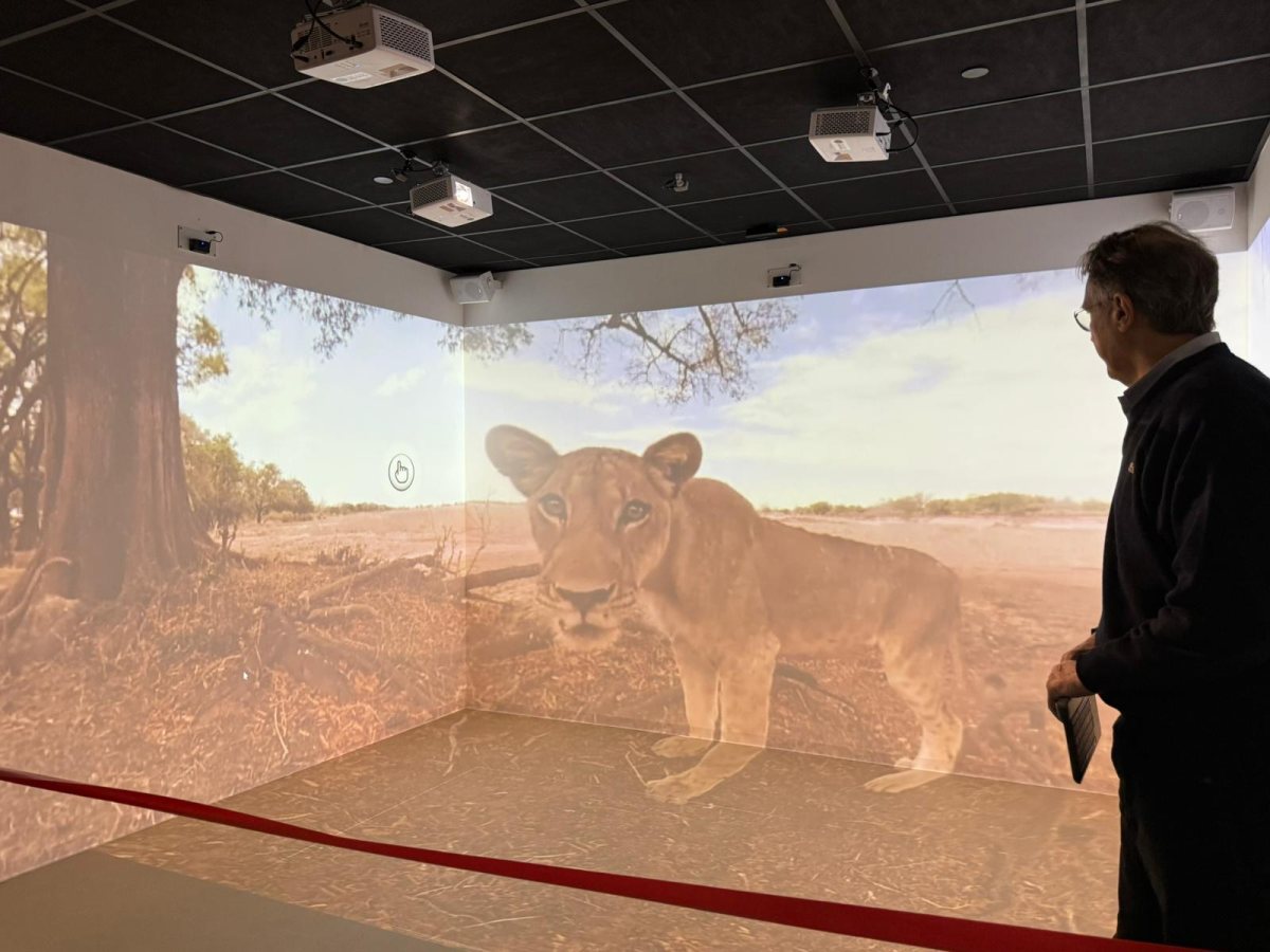 קרדיט: קרן אתנה