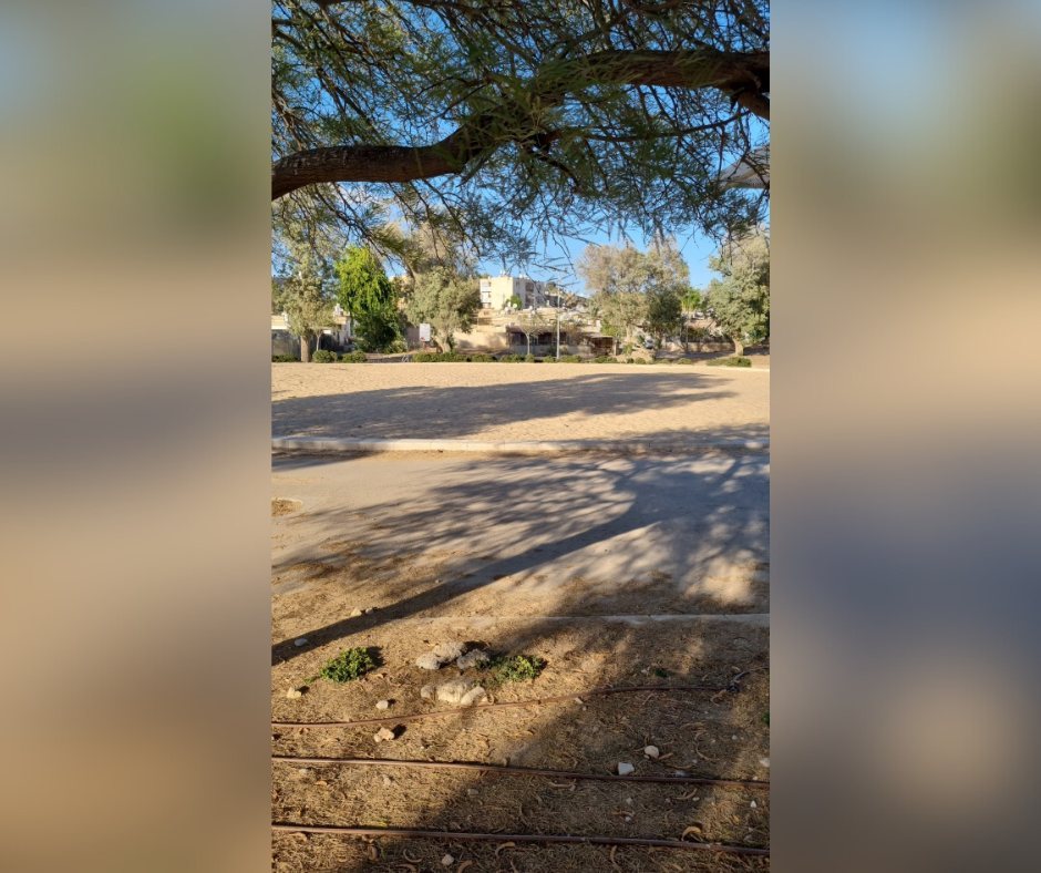 קרדיט: תוכן גולשים ע"פ סעיף 27א'