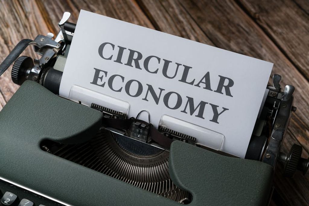 Markus Winkler באתר PEXELS