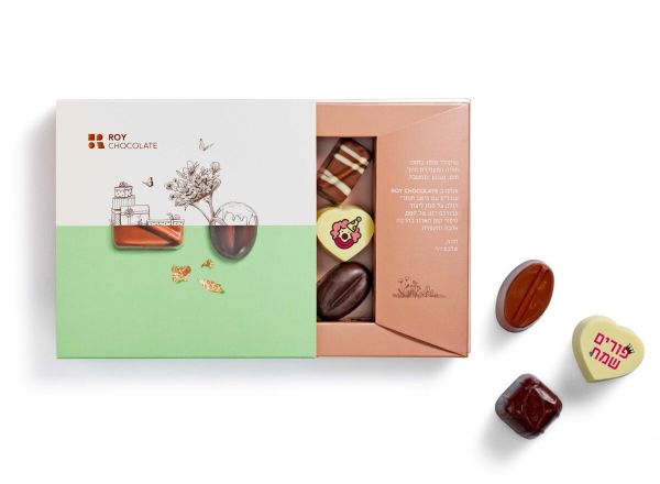 רוי שוקולד