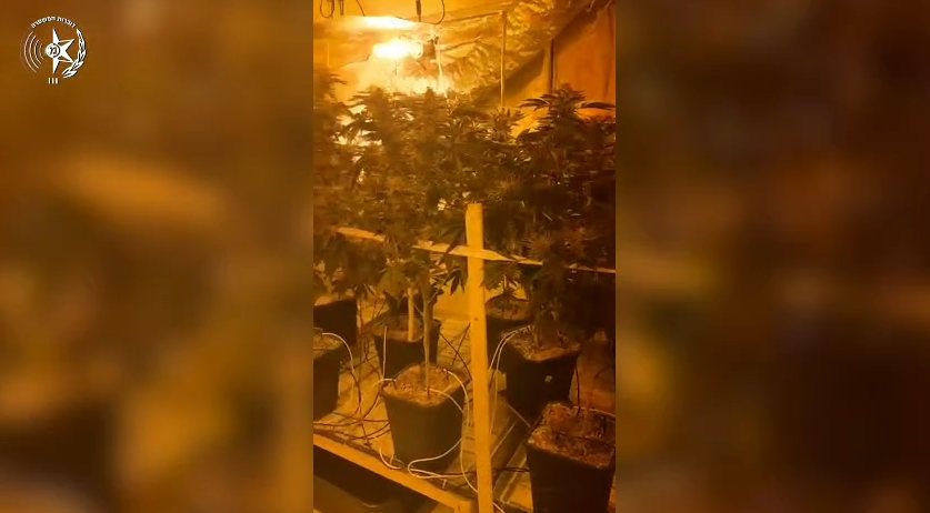 קרדיט: משטרת ישראל