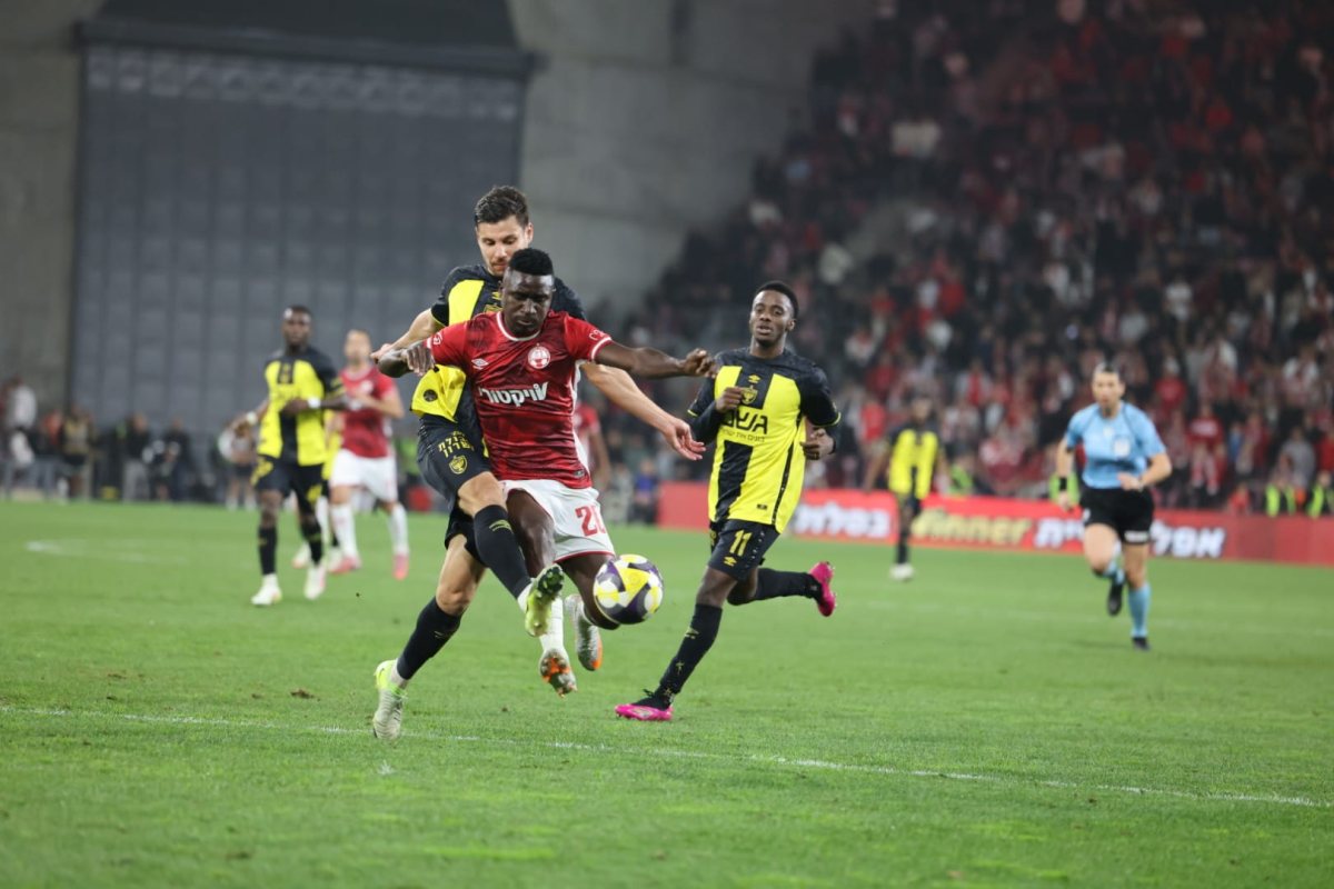 קרדיט: זאב דיקמן