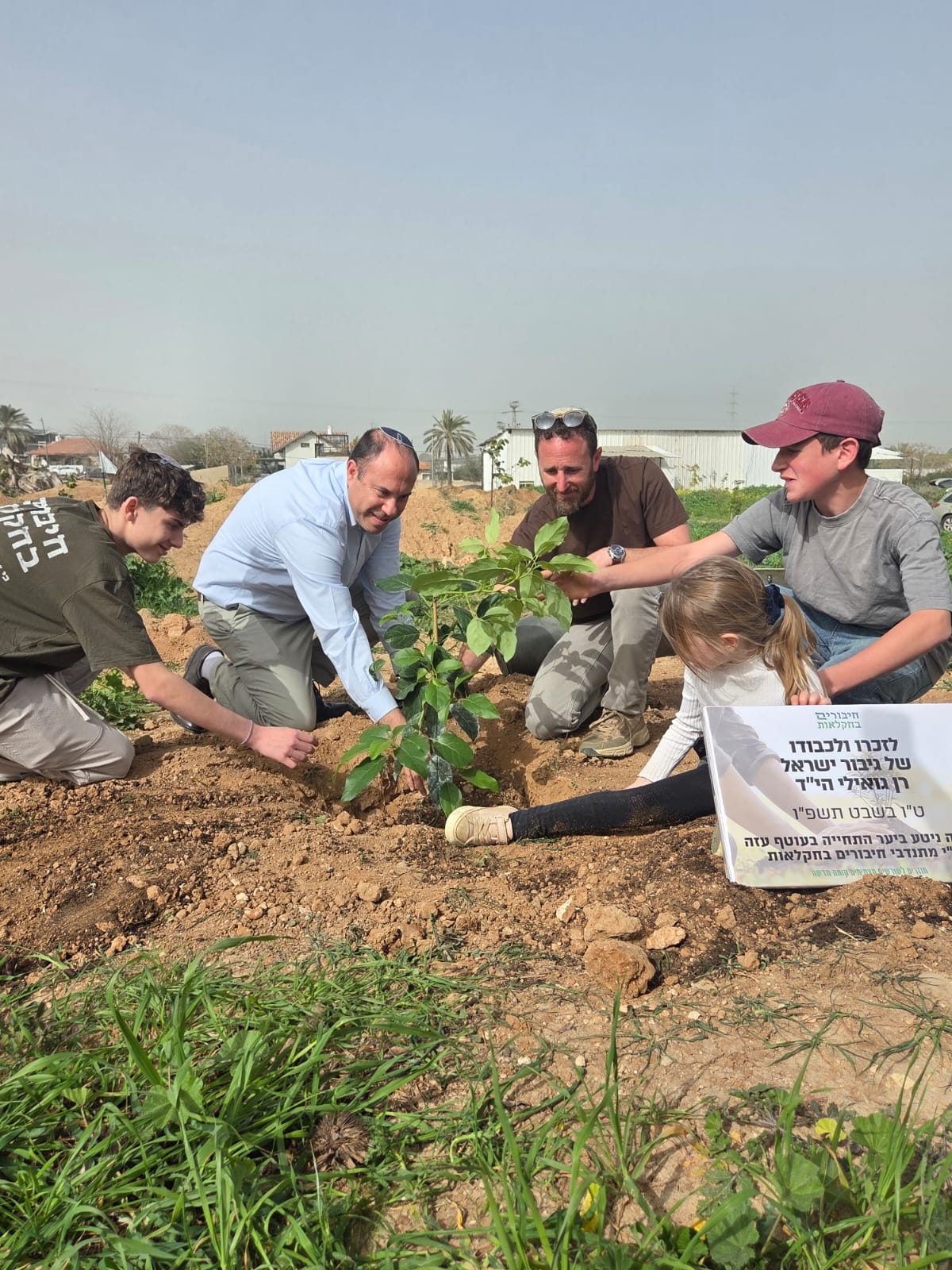 שתיל לזכרו של רן גואילי ז"ל . צילום: חיבורים בחקלאות