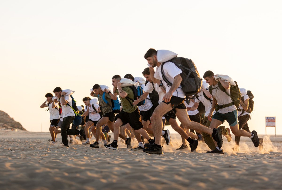 קרדיט עדי אבלס