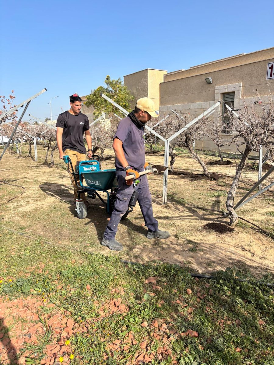 קרדיט צילום: נגב אקולוגיה/ עדי נגב