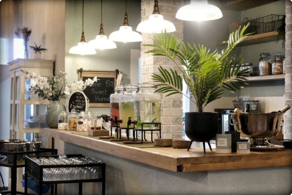 צילום: עמית אורנשטיין