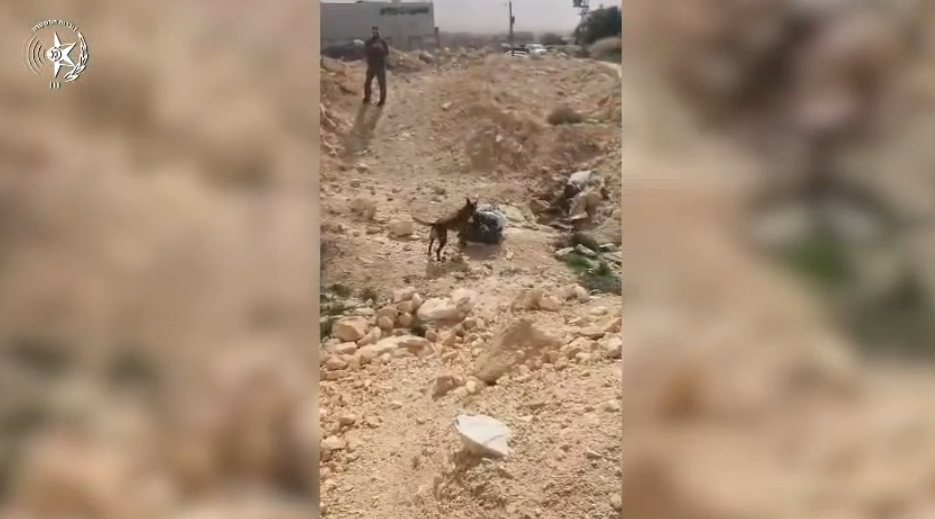 קרדיט: משטרת ישראל