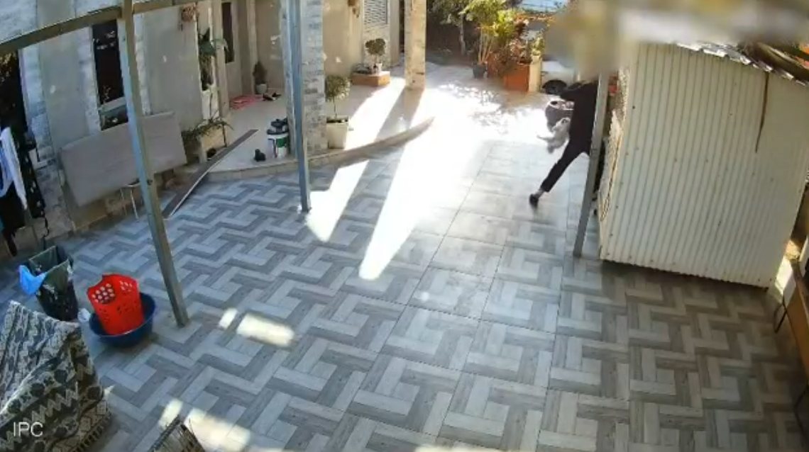 קרדיט: משטרת ישראל