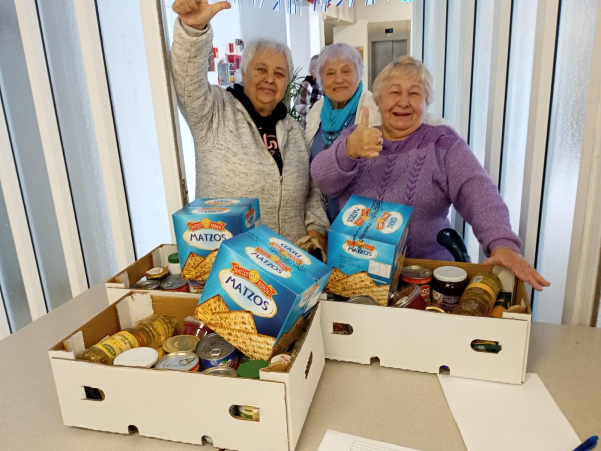 קרדיט: עמיגור