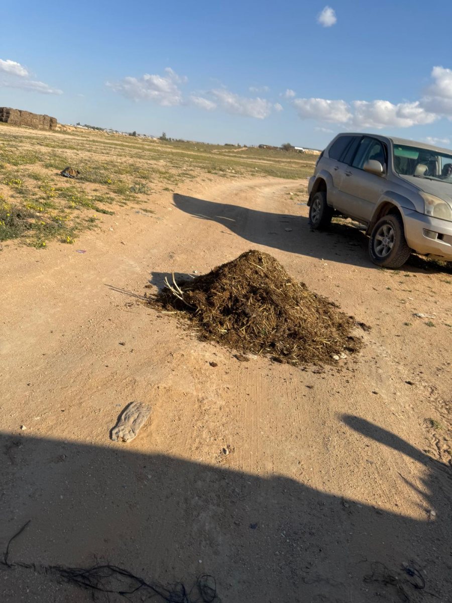 קרדיט: תוכן גולשים ע"פ סעיף 27א'