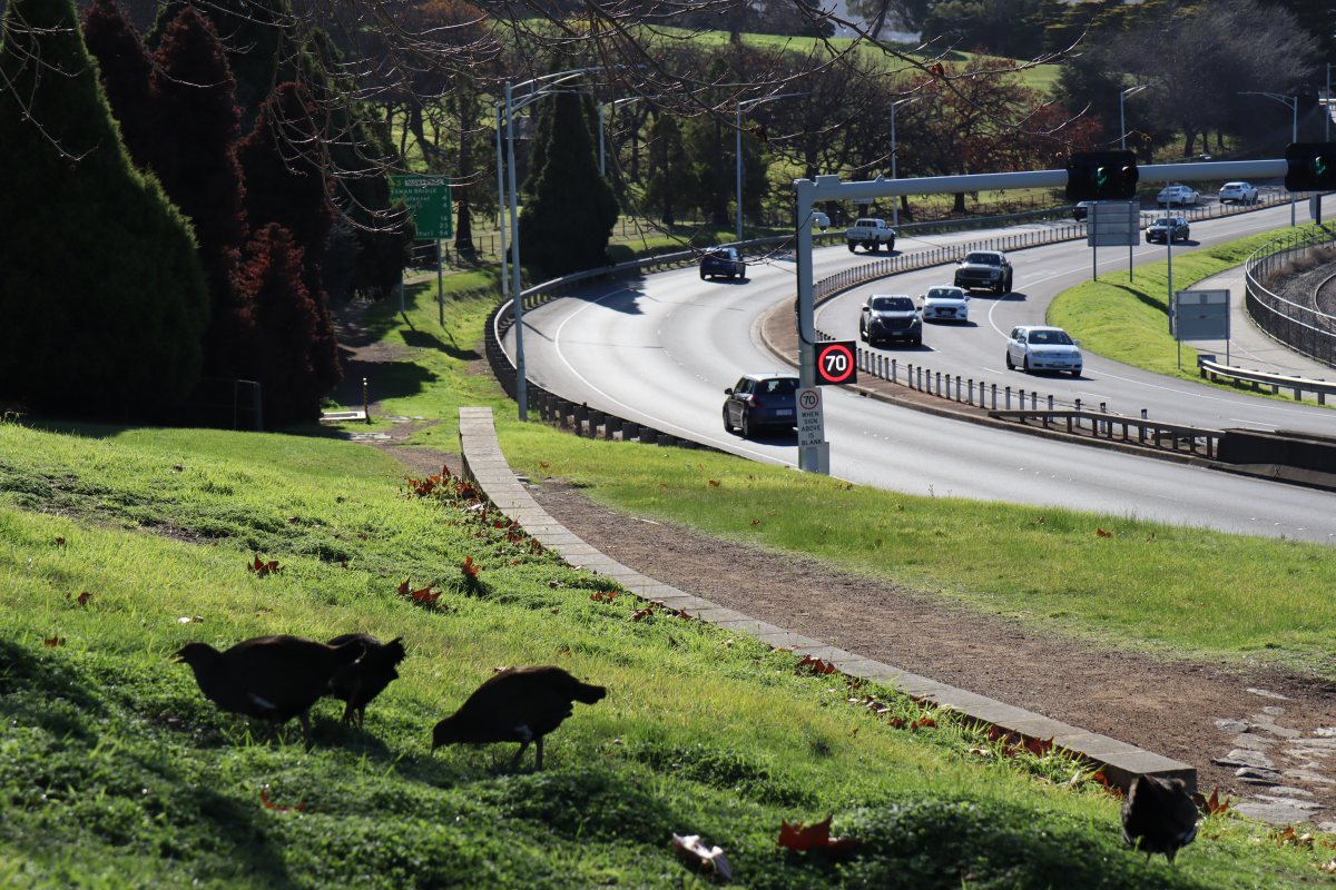 קרדיט: יעל לנרד