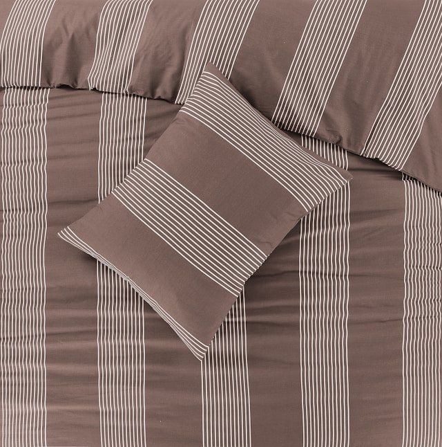 קרדיט-Photo by Javed Iqbal on Unsplash