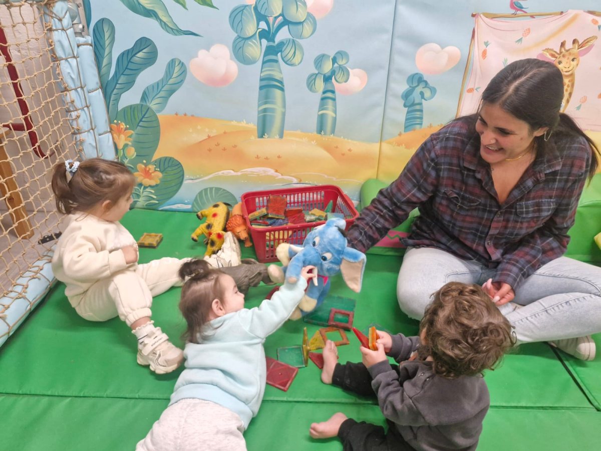 קרדיט: ויצו