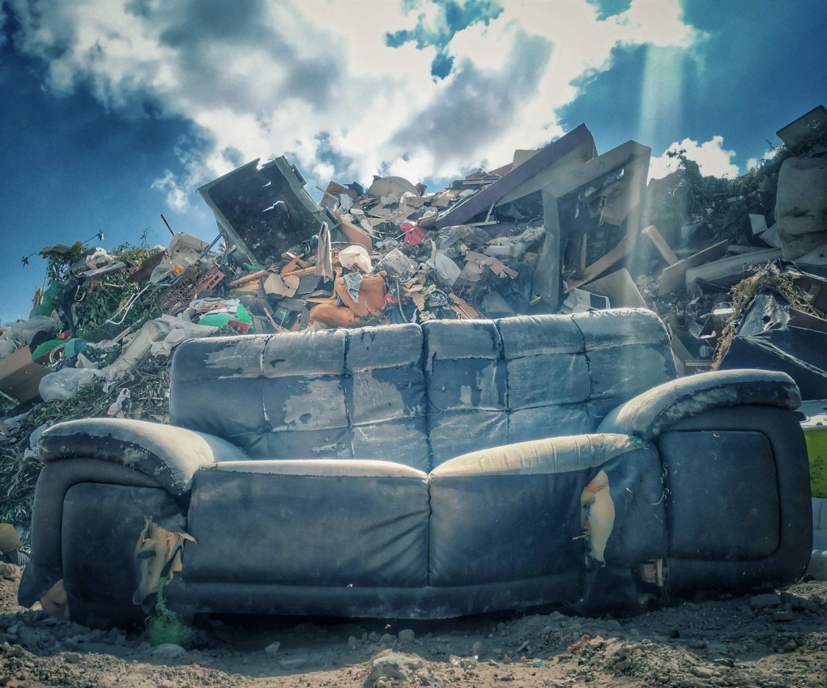 קרדיט צילום: חזי נקאש