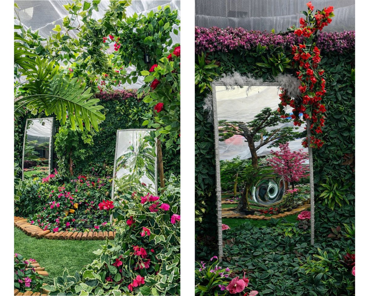 קרדיט: ישפרו פלאנט