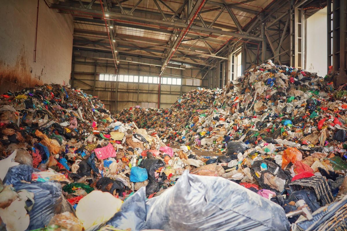 קרדיט צילום: חזי נקאש