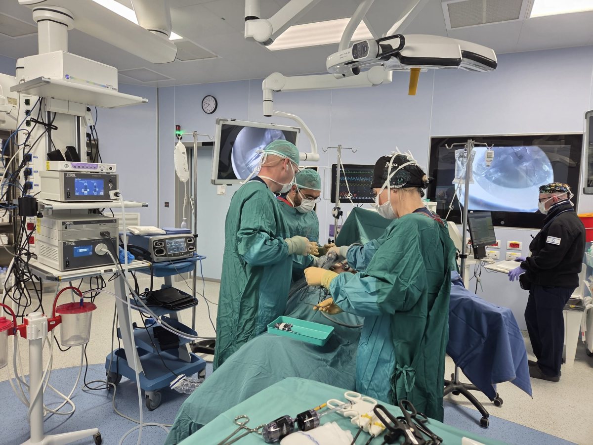 קרדיט: אסותא