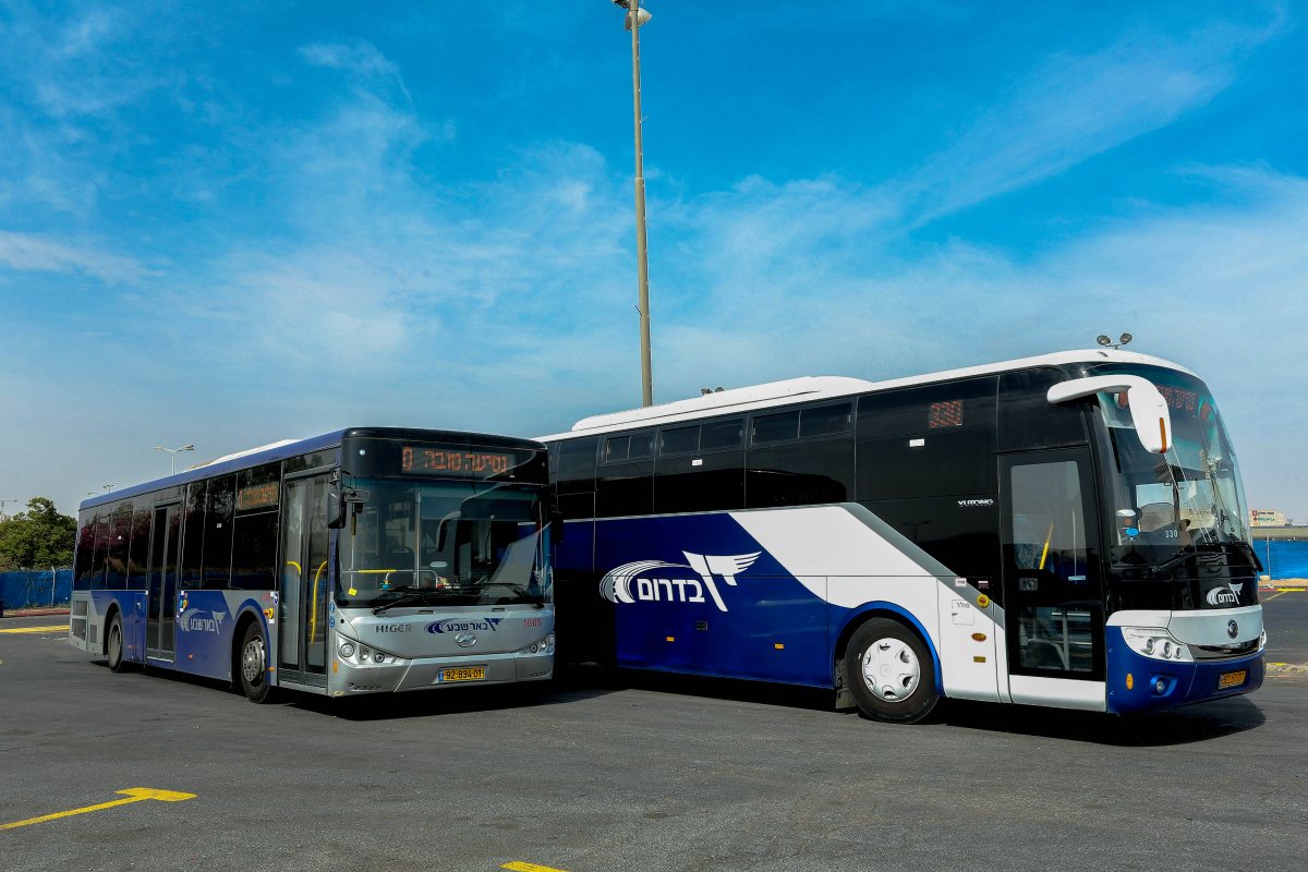 קרדיט: טל כהן