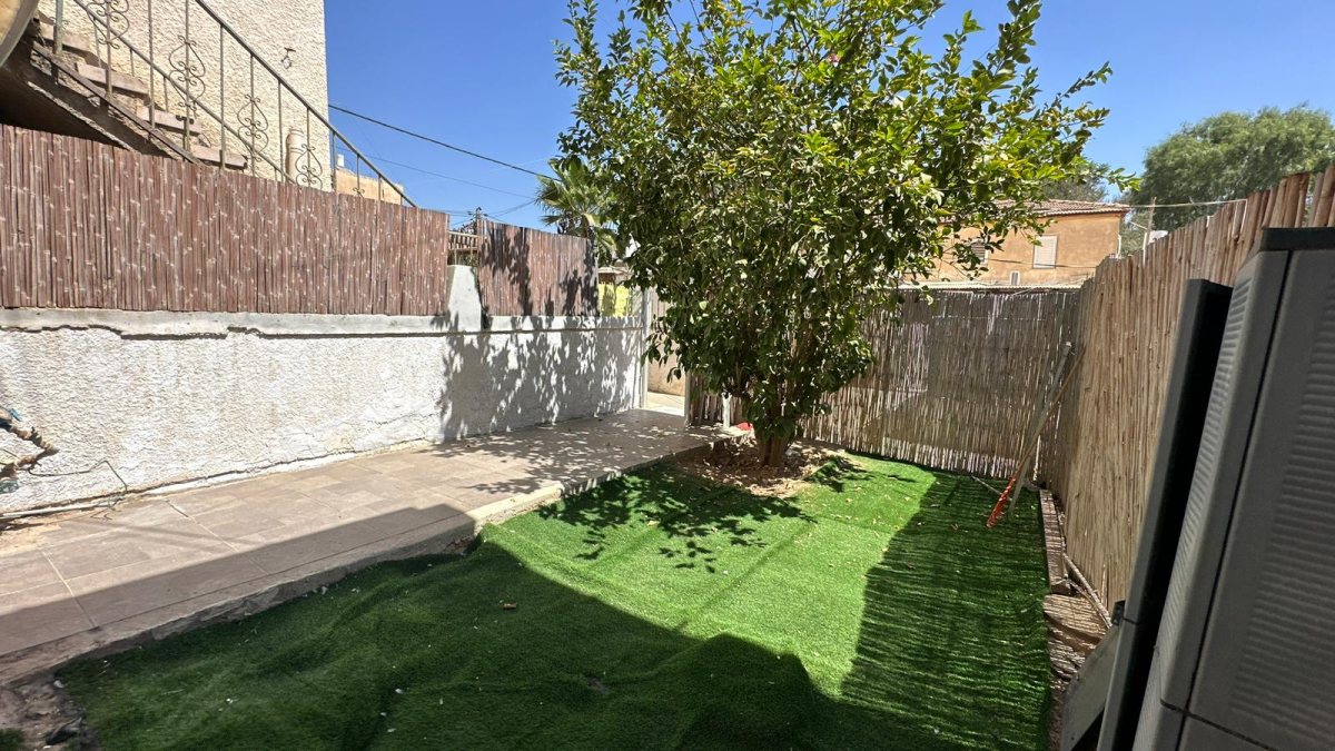 שחל. קרדיט: רימקס