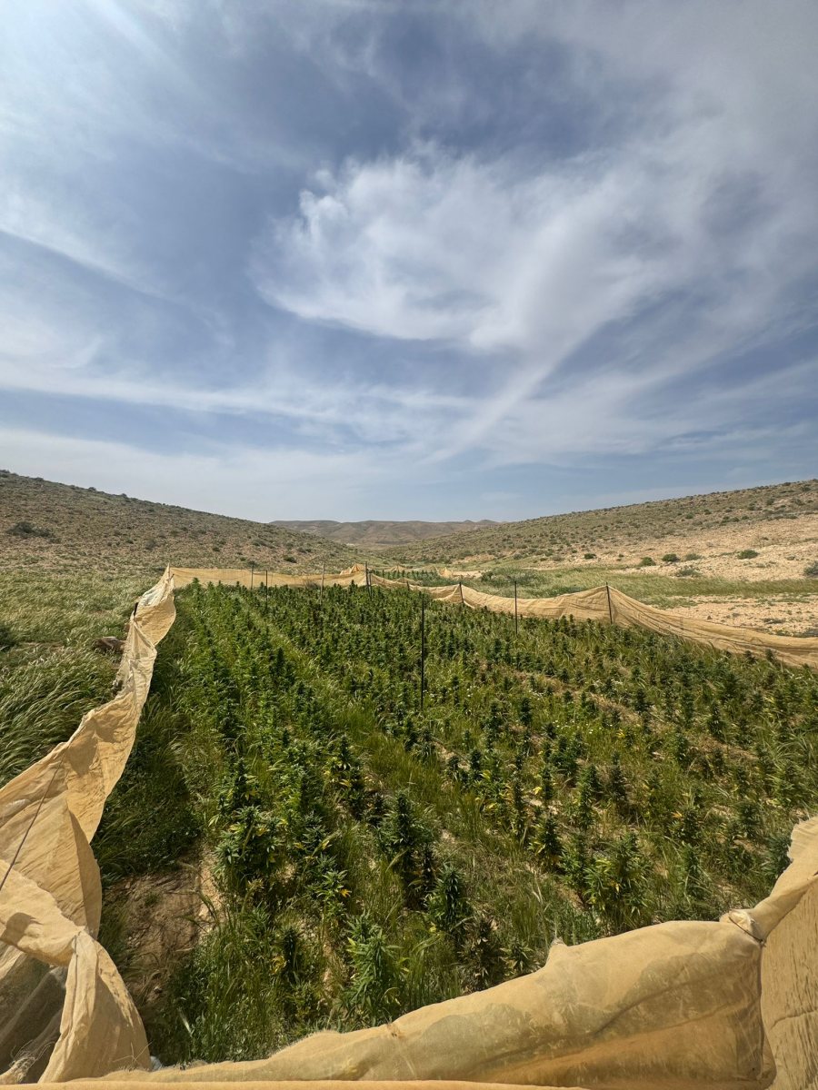 קרדיט: משטרת ישראל
