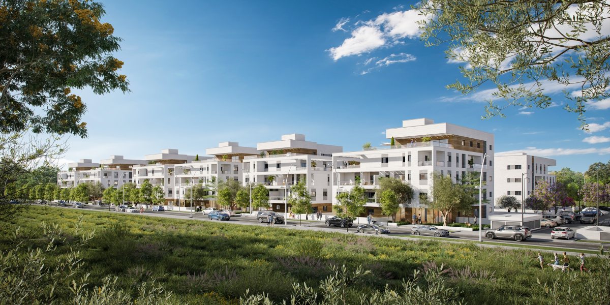 פרץ בוני הנגב בשכונת הפארק בבאר שבע - זיתוני הדמיות