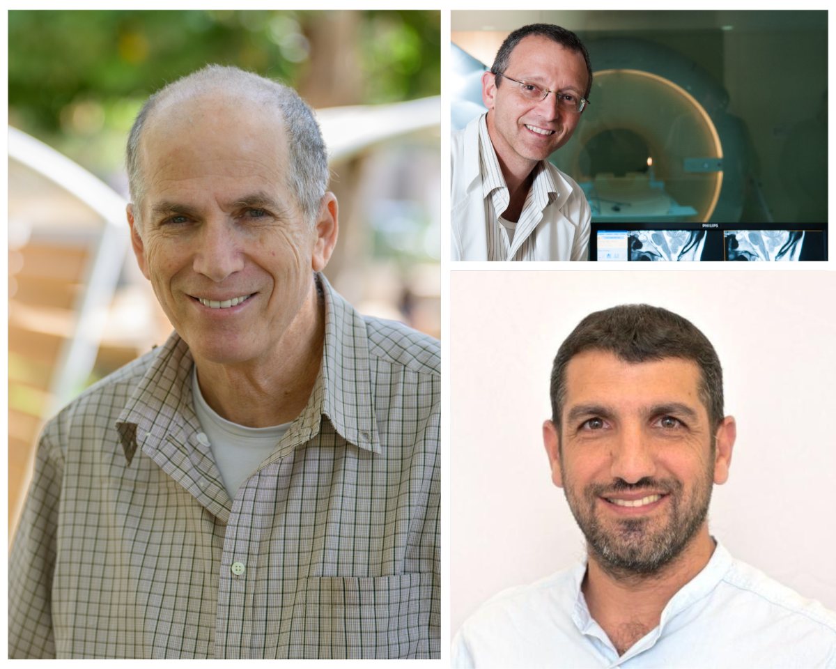 קרדיט: דני מכליס