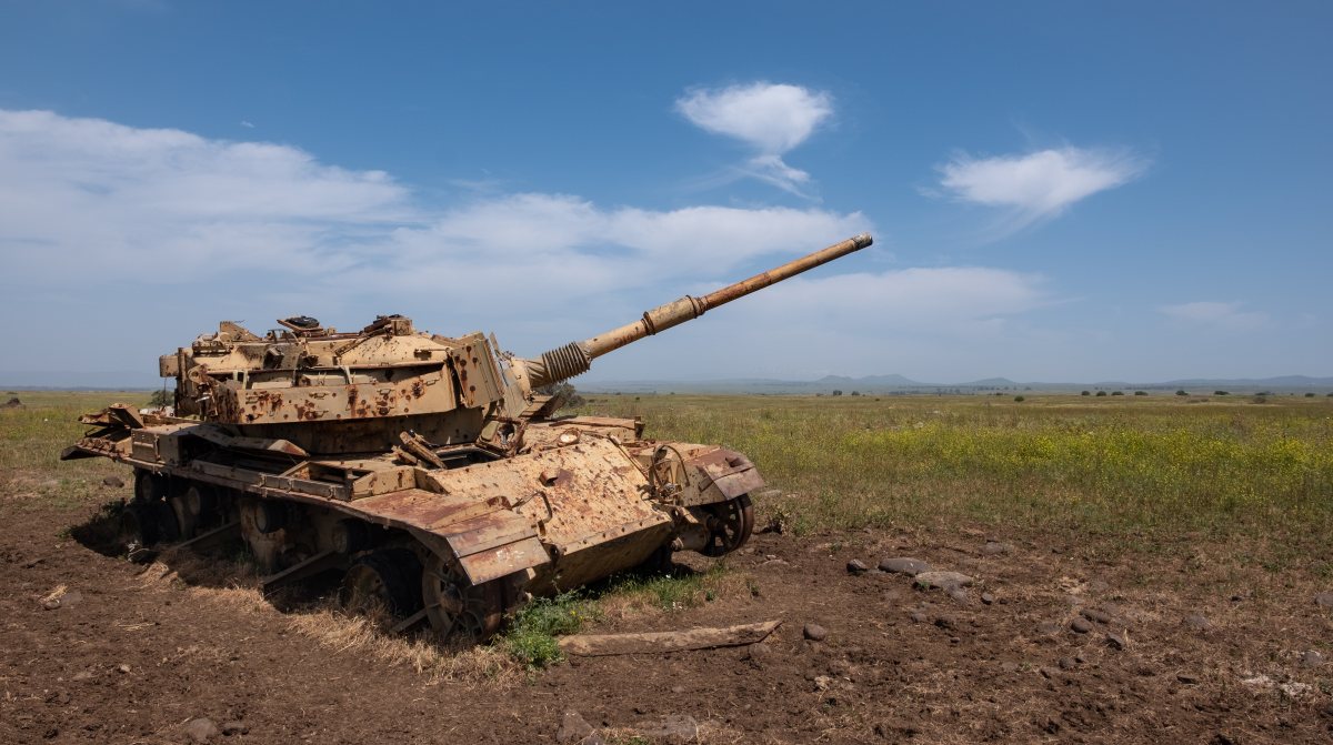 קרדיט: Shutterstock