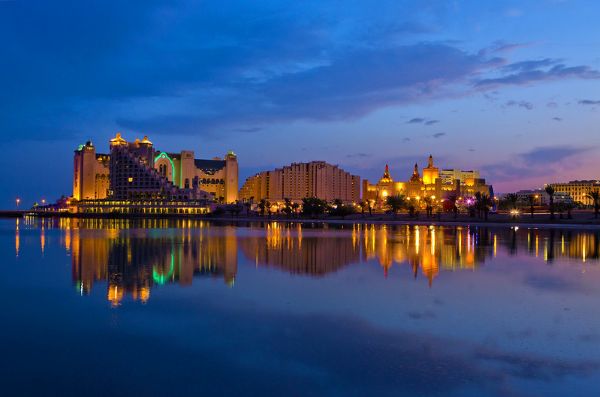 צילום דפנה טל