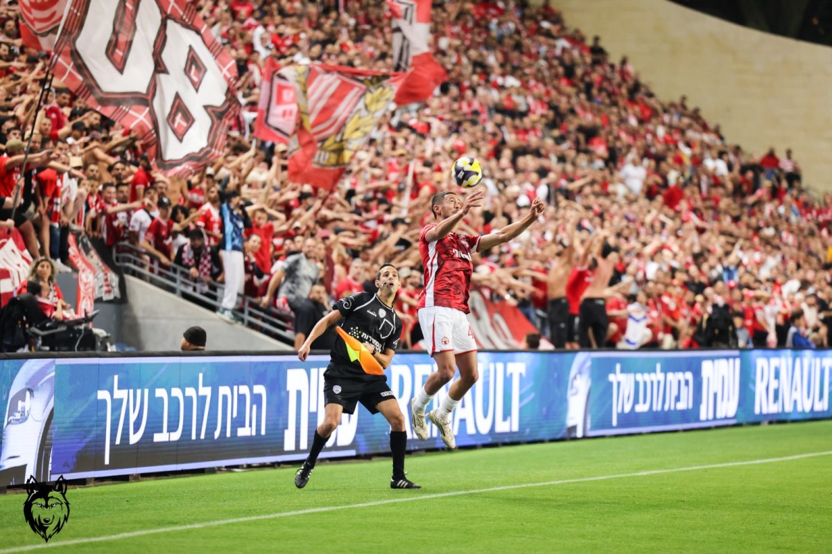 קרדיט: זאב דיקמן