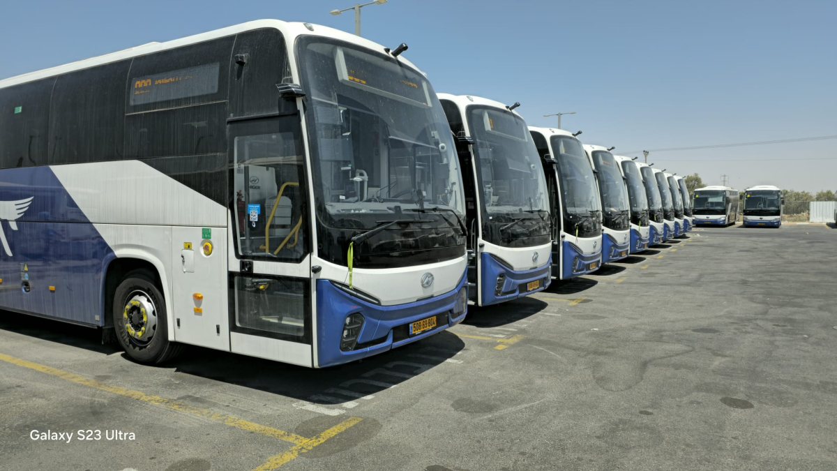 קרדיט: דן בדרום