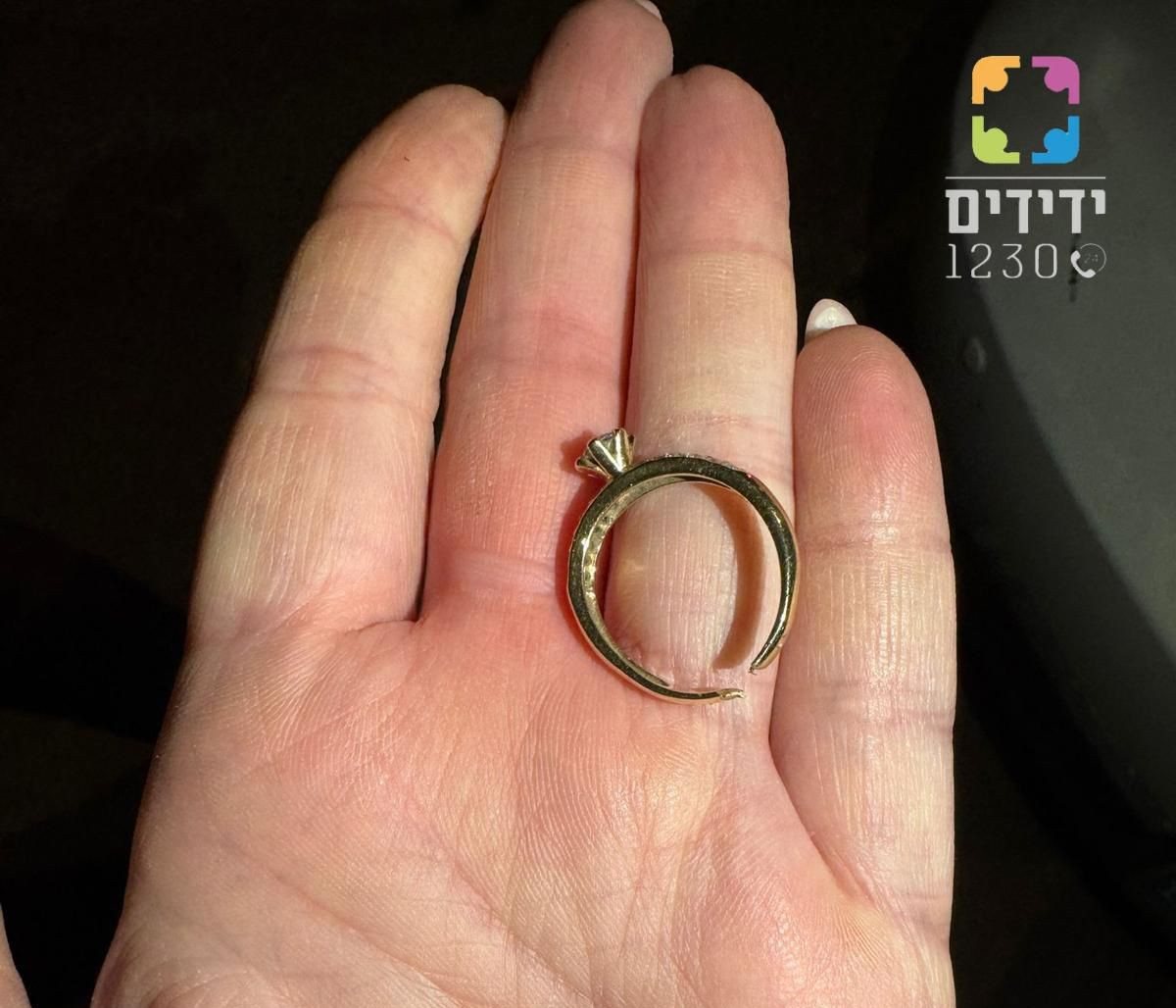 קרדיט: ידידים