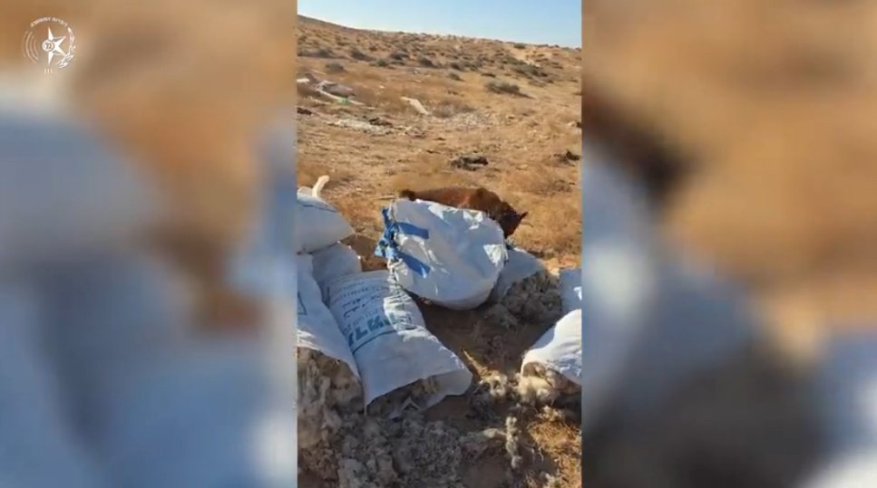 קרדיט: מג"ב