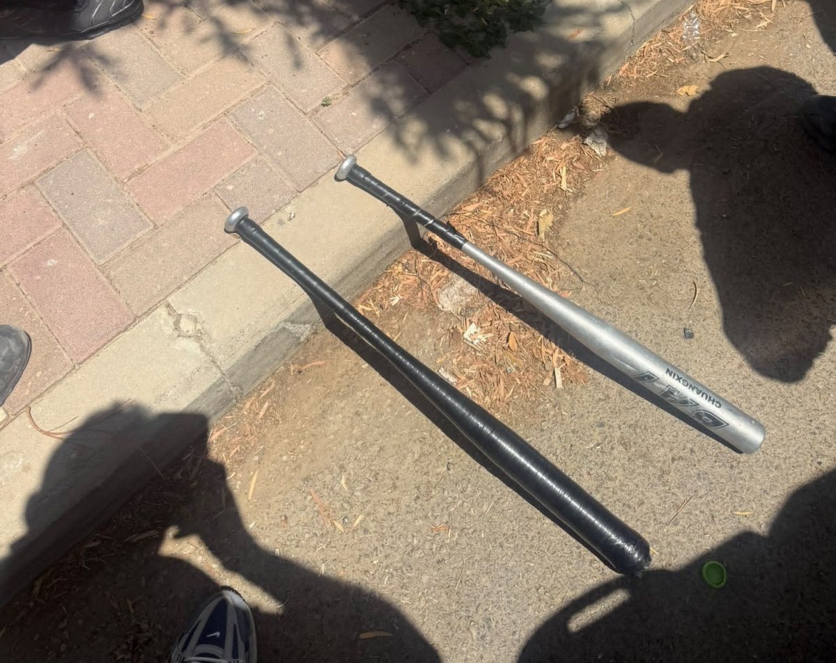 קרדיט: משטרת ישראל