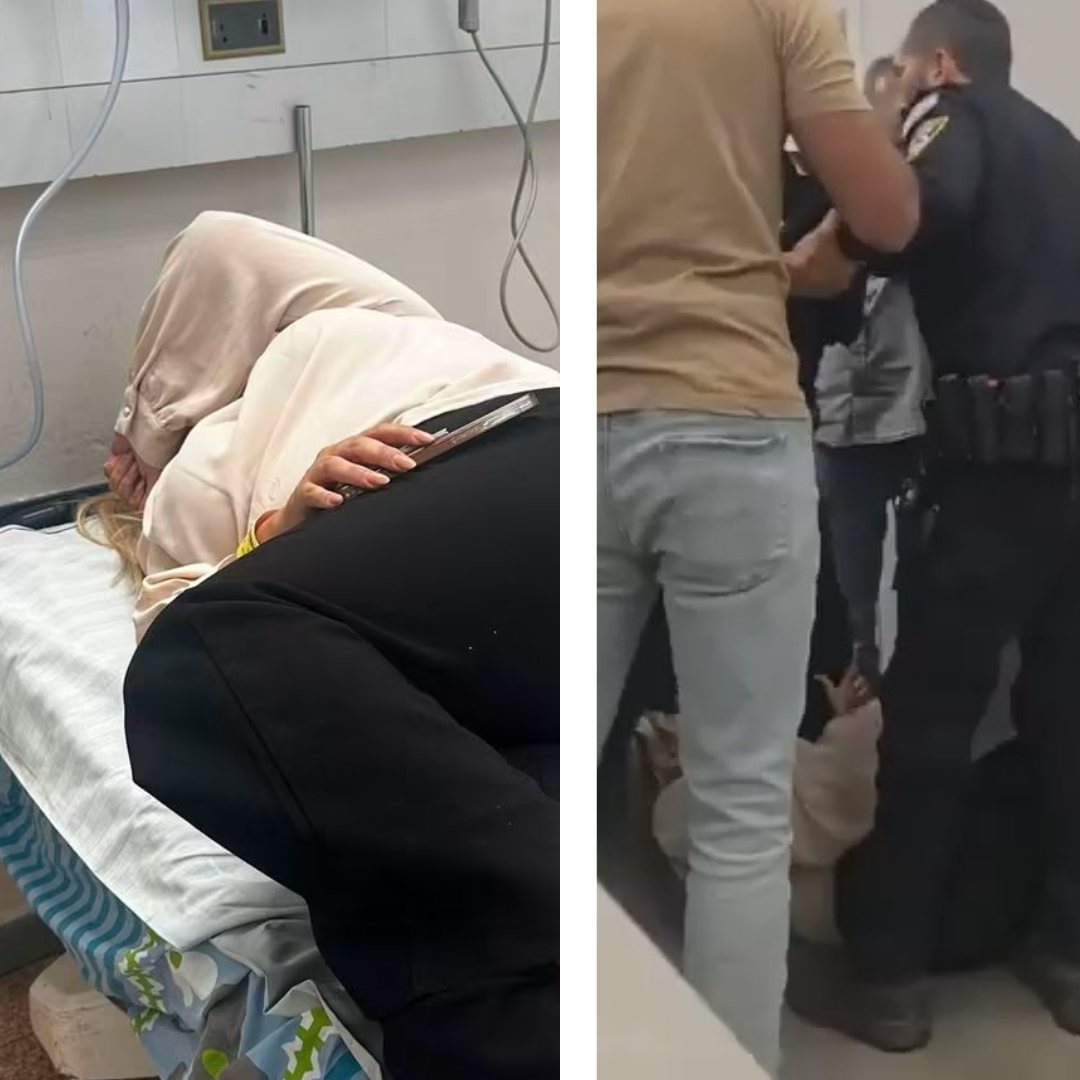 קרדיט: תוכן גולשים ע"פ סעיף 27א'
