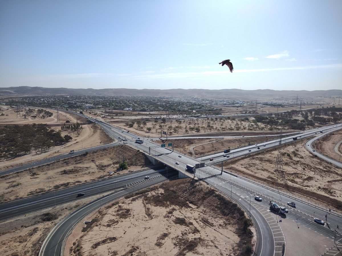  צילום: שקד בר חנין