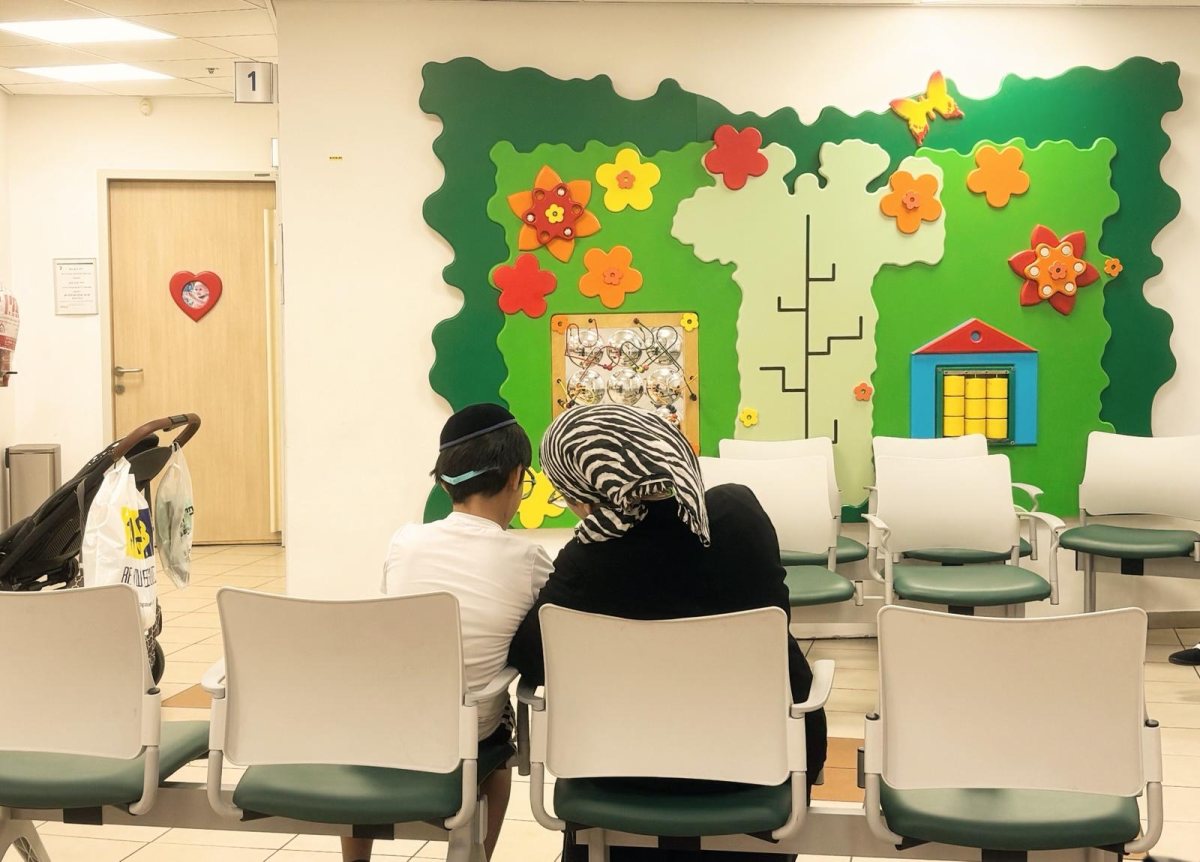קרדיט: כללית