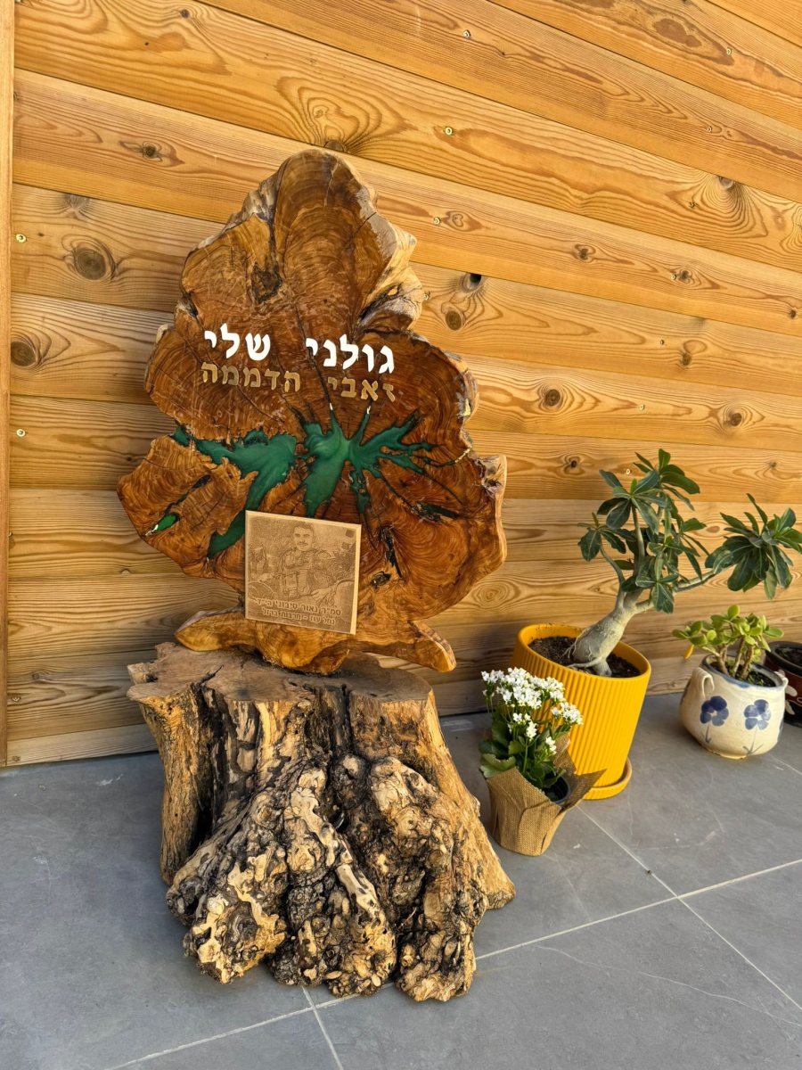 לזכרו של נאור סיבווני ז"ל