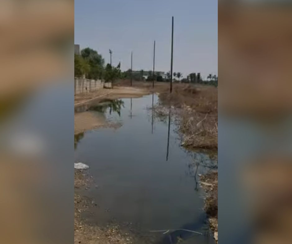 קרדיט: תוכן גולשים ע"פ סעיף 27א'