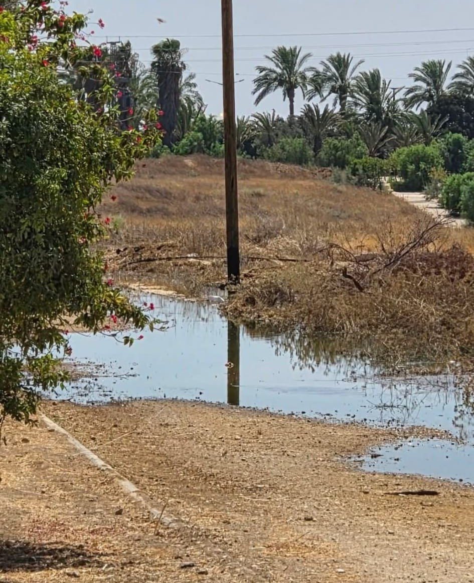קרדיט: צילום פרטי