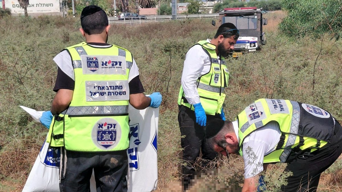 קרדיט: זק"א