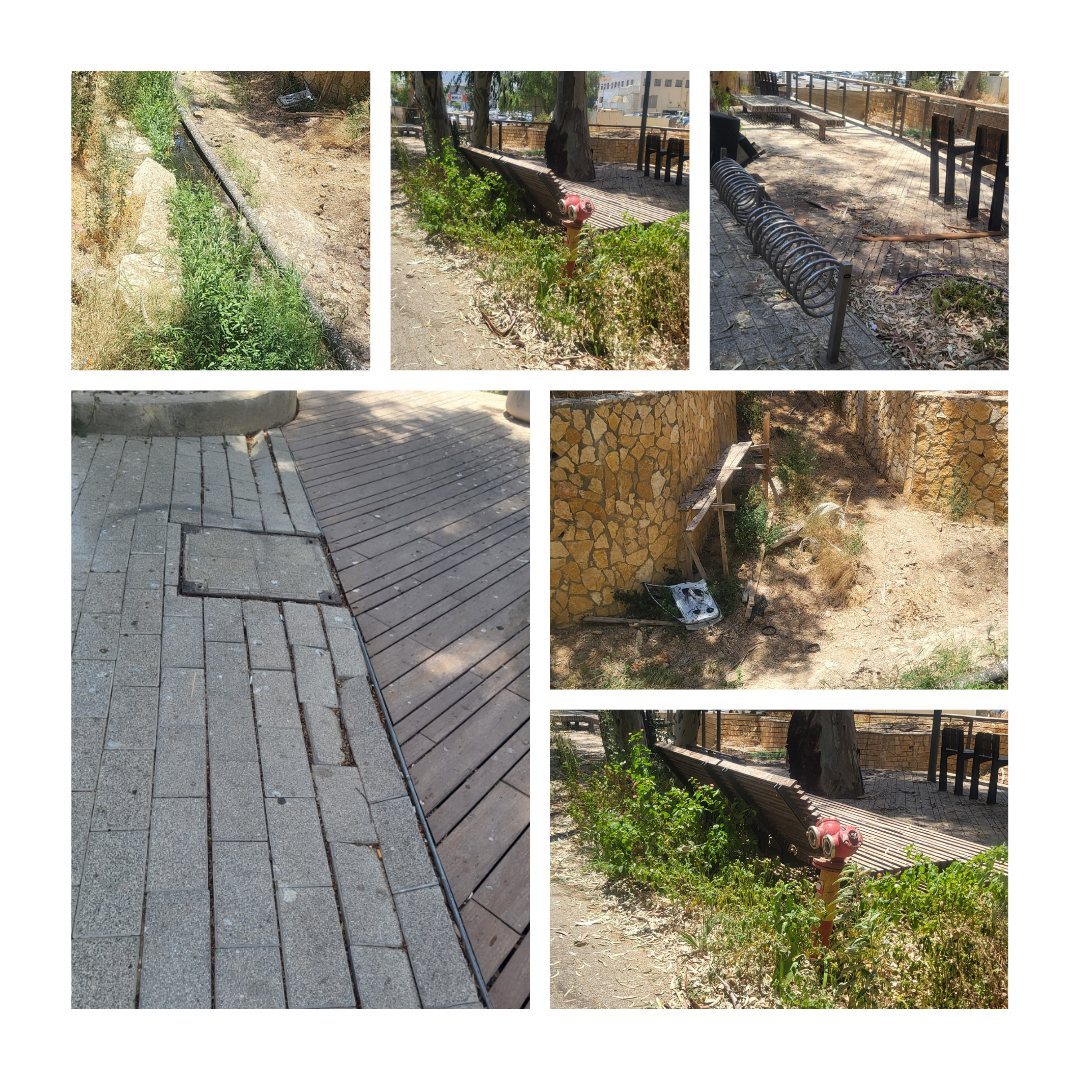 קרדיט: צילום פרטי