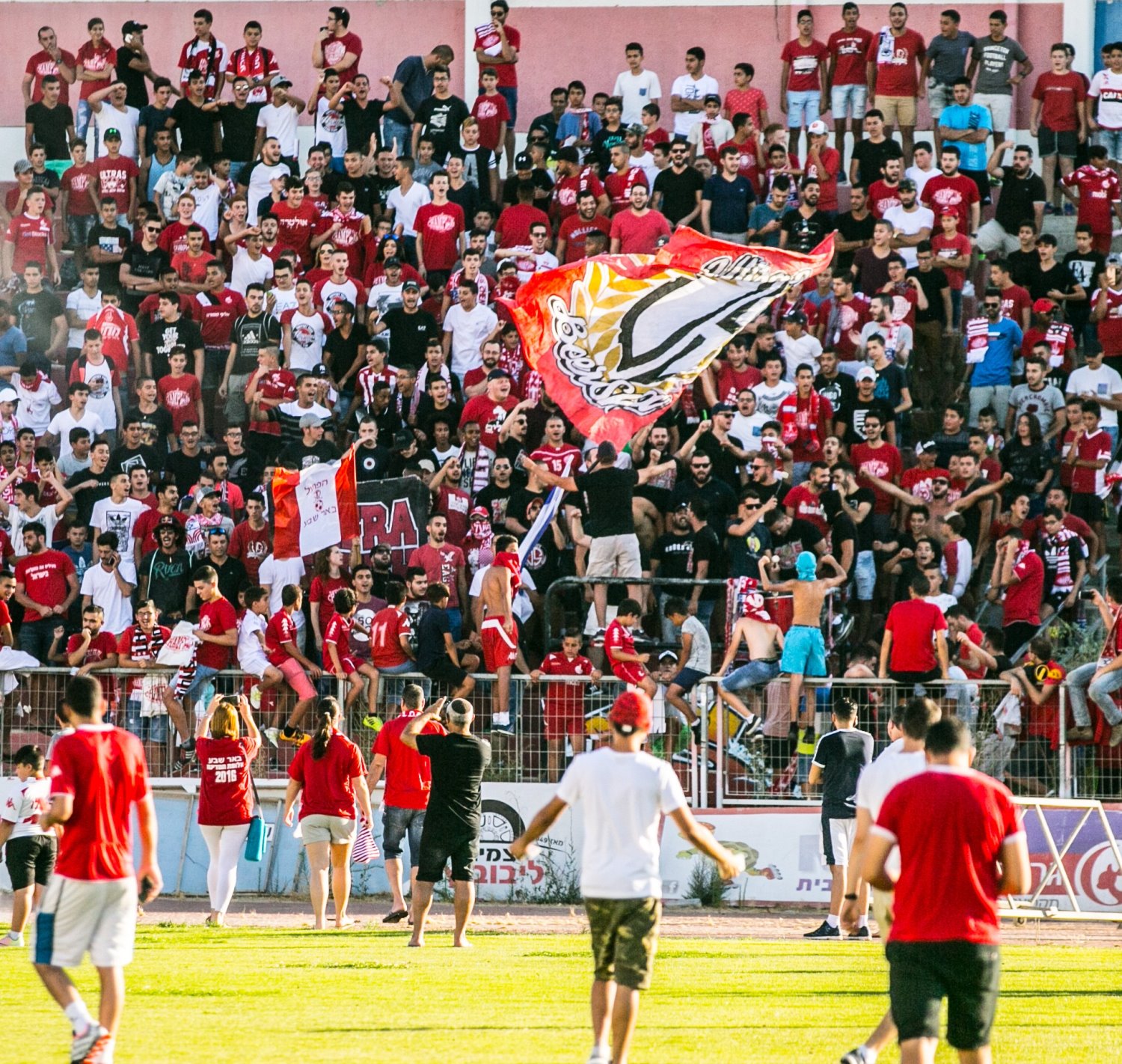 צילום: אביאל זינו